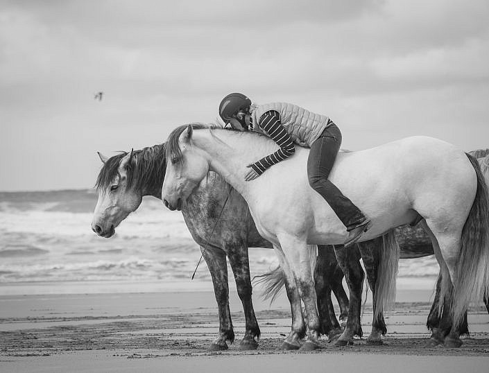 Horse Photography | Fine art horse photography